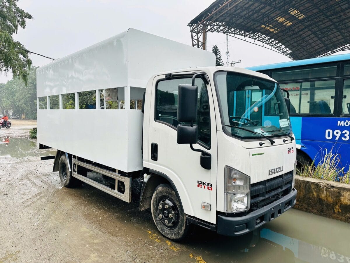 Xe tập lái isuzu hạng C C1 - xe sát hạch QKR210 - ISUZU Miền Bắc